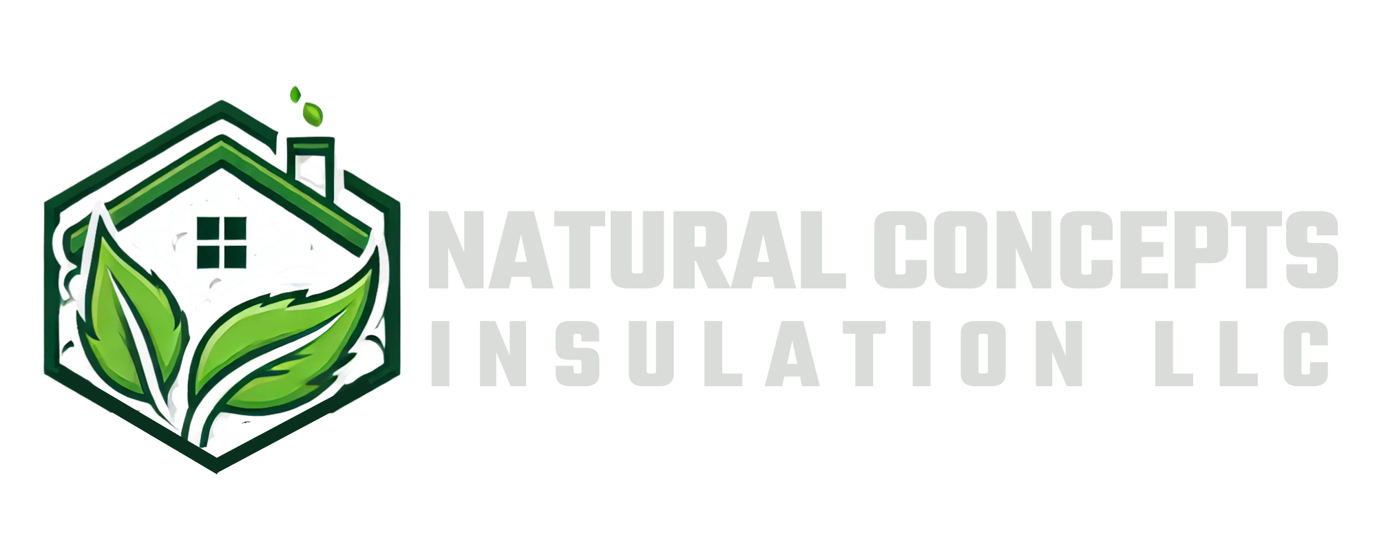 Natural Concepts Insulation LLC (2)